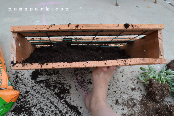 DIY Cedar Pallet Succulent Planter