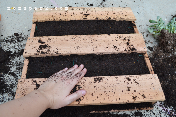 DIY Cedar Pallet Succulent Planter