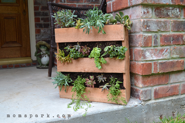 DIY Cedar Pallet Succulent Planter