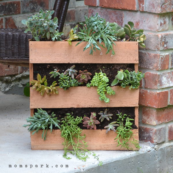 DIY Cedar Pallet Succulent Planter