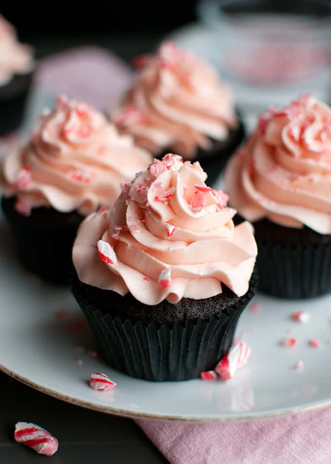 Chocolate Cupcakes with Candy Cane Buttercream