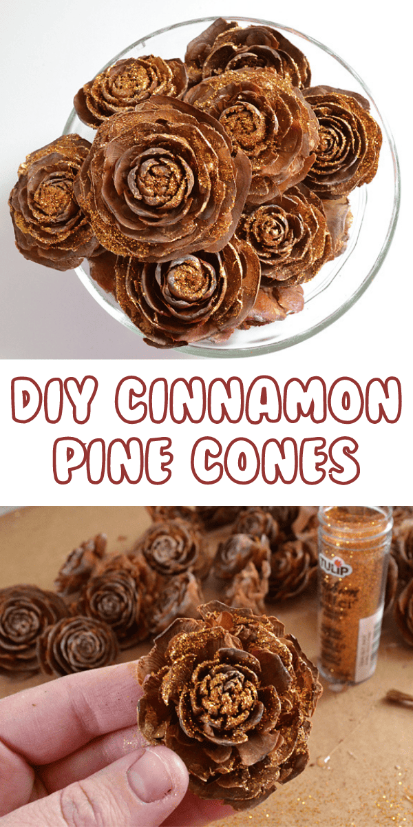 DIY Fall Cinnamon-Scented Pine Cones