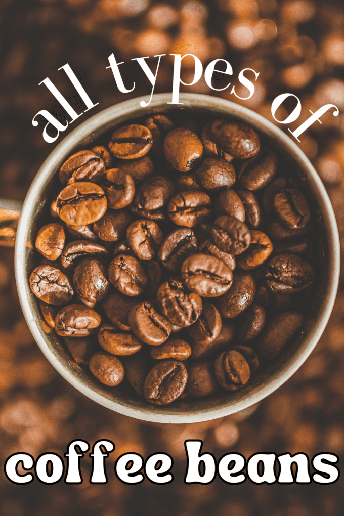 Types of Coffee Beans