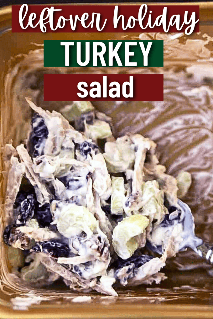 Holiday Leftover Turkey Salad Recipe