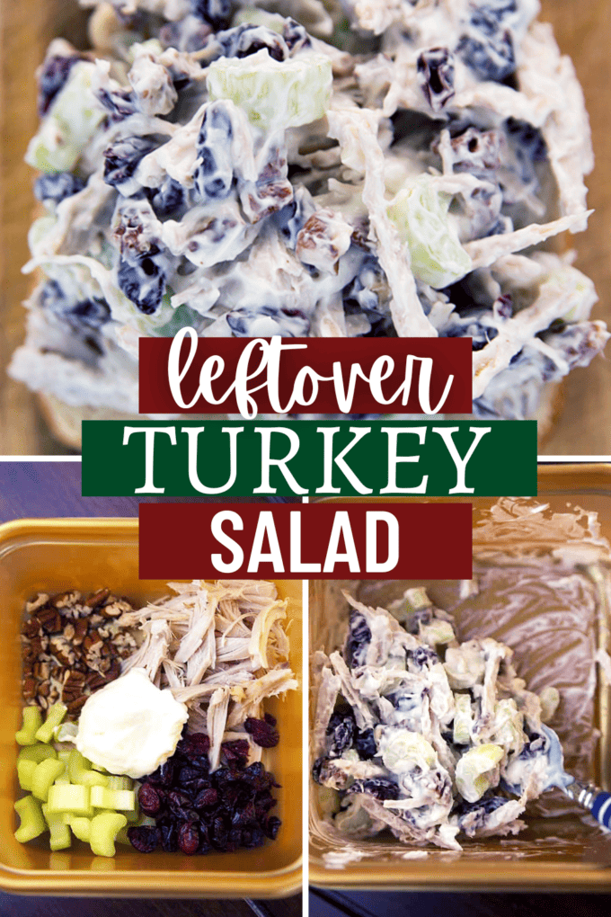 Holiday Leftover Turkey Salad Recipe