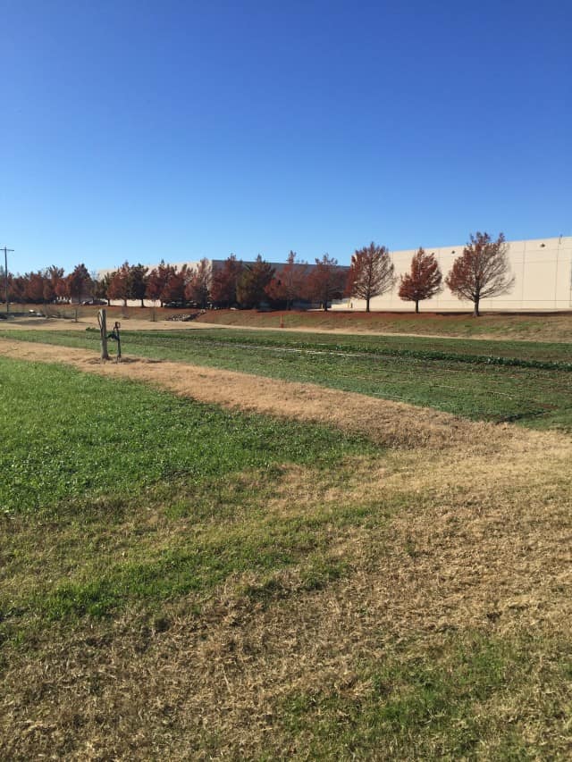 A Visit To The Regional Food Bank Of Oklahoma