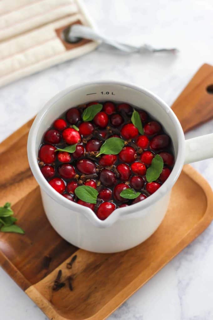 Holiday Stove Top Potpourri