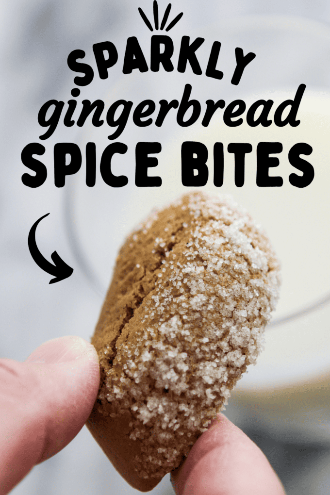 Sparkly Gingerbread Spice Bites Recipe