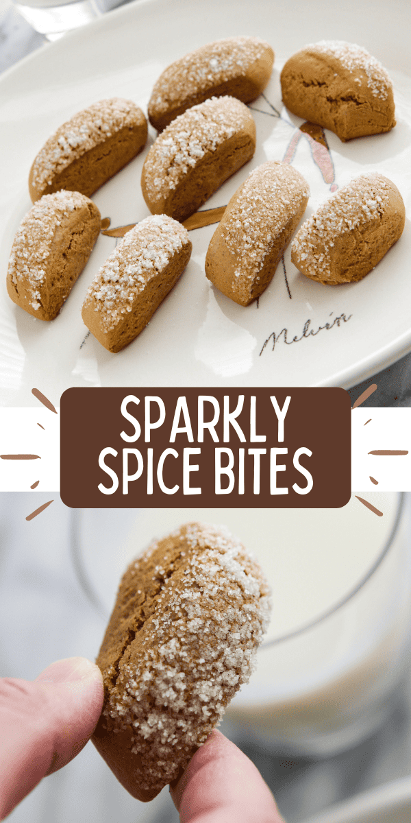 Sparkly Spice Bites Recipe