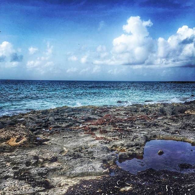 beach-carnival-cruise