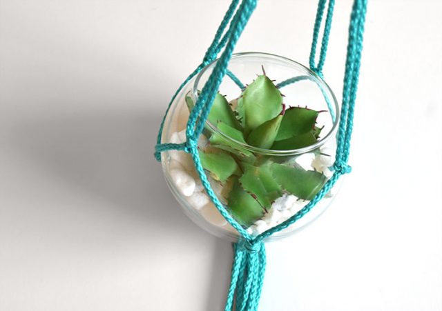 How to Make Macrame Succulent Hangers