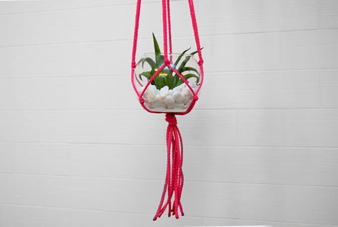 How to Make Macrame Succulent Hangers