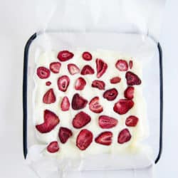 Frozen Yogurt Bark